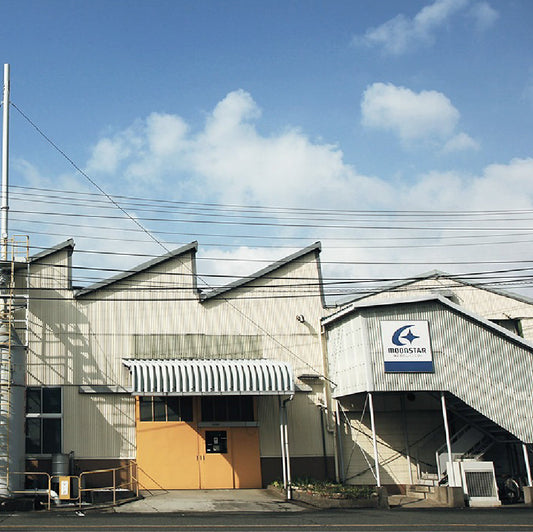 MoonStar: Over 150 Years of Japanese Footwear Craftsmanship
