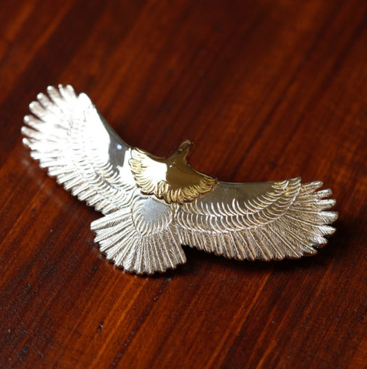 First Arrow's Silver P-400 Eagle (L)
